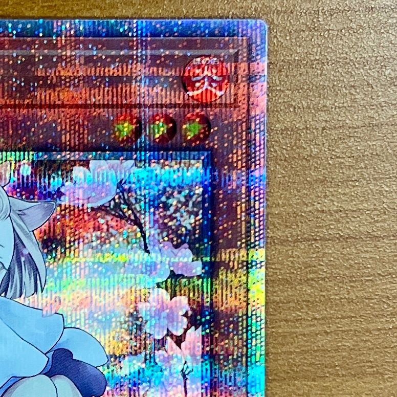 灰流うらら 25th SE イラスト違い版)(QCAC-JP050 遊戯王OCG 灰流うらら 25th SE イラスト違い版)(QCAC-JP050 遊戯王OCG