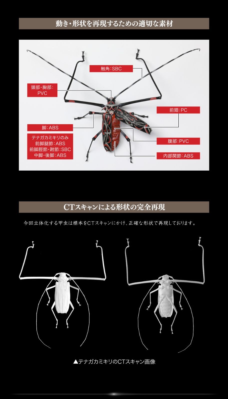 いきもの大図鑑アドバンス カミキリムシ テナガカミキリ 新品未