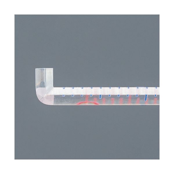 まとめ ライオン事務器 ピックアップ定規30 cm L 10 1本