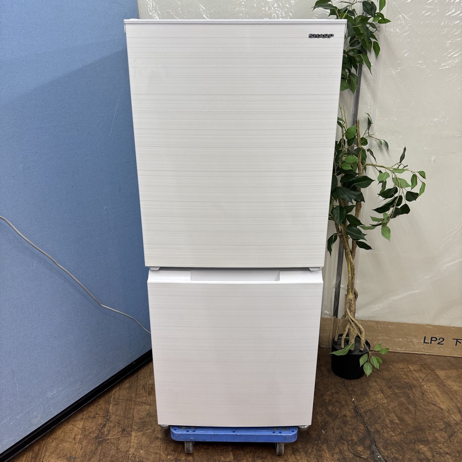 送料設置無料　SHARP　最新モデル冷蔵庫　152L SHARP 152L 2ドア冷凍・冷蔵庫 152L SHARP / シャープのレンタル
