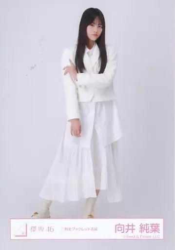 中古】生写真(坂道シリーズ) 向井純葉/全身/櫻坂46ランダム生写真【三