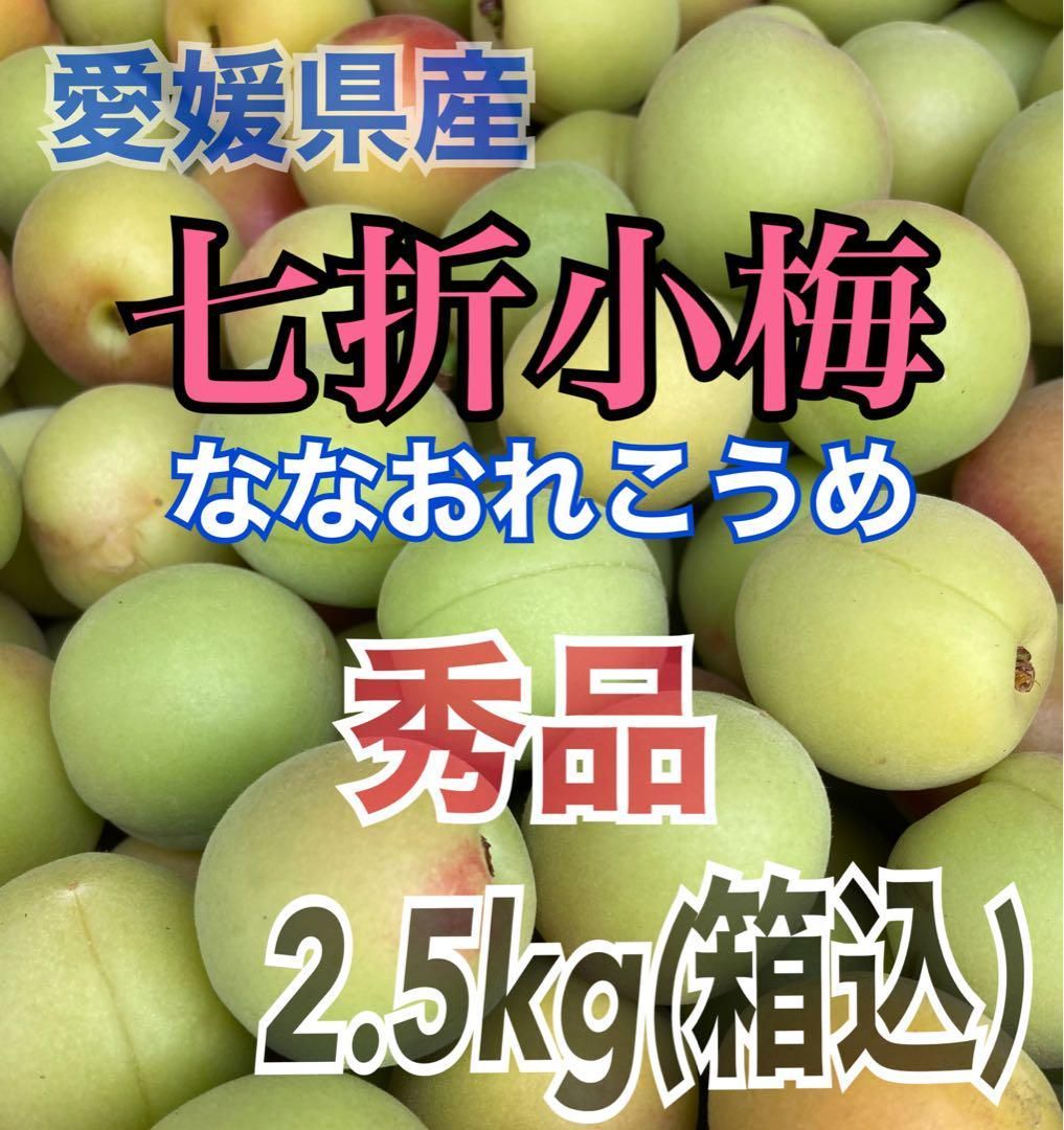 愛媛県伊予郡砥部町特産 七折小梅 秀品 2.5kg (箱込）L～3L(サイズ選択不可) - メルカリ