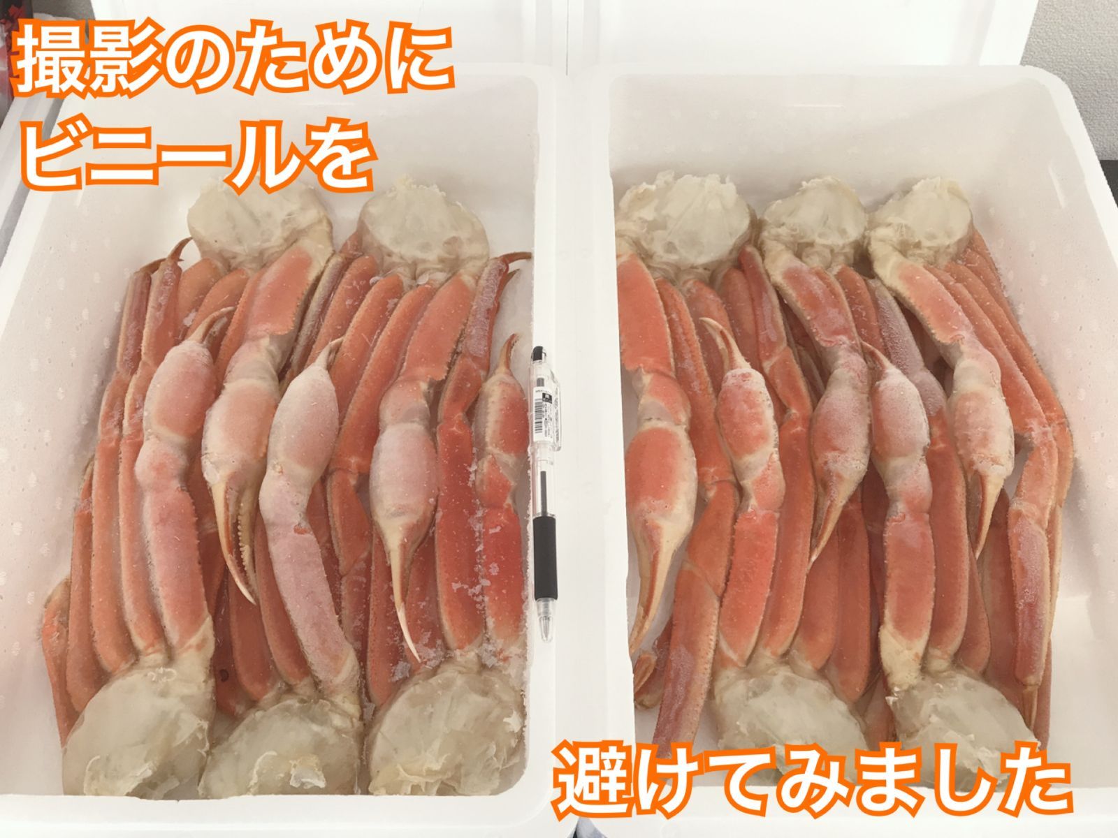 北ゴコロ～旬彩海鮮～　ボイル　爪　肩　計約2kg　脚　5肩　特盛】ズワイガニ足　メルカリ　冷凍　4～5人前