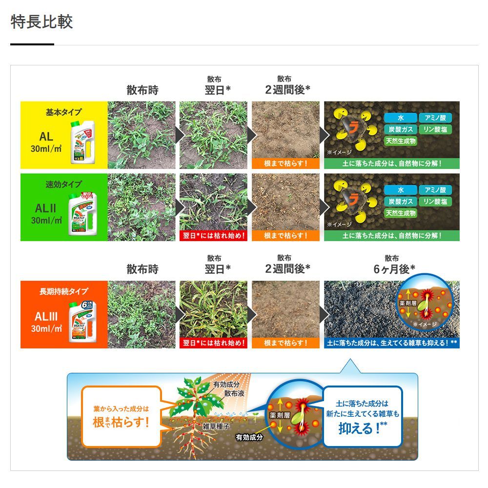 な4本セット