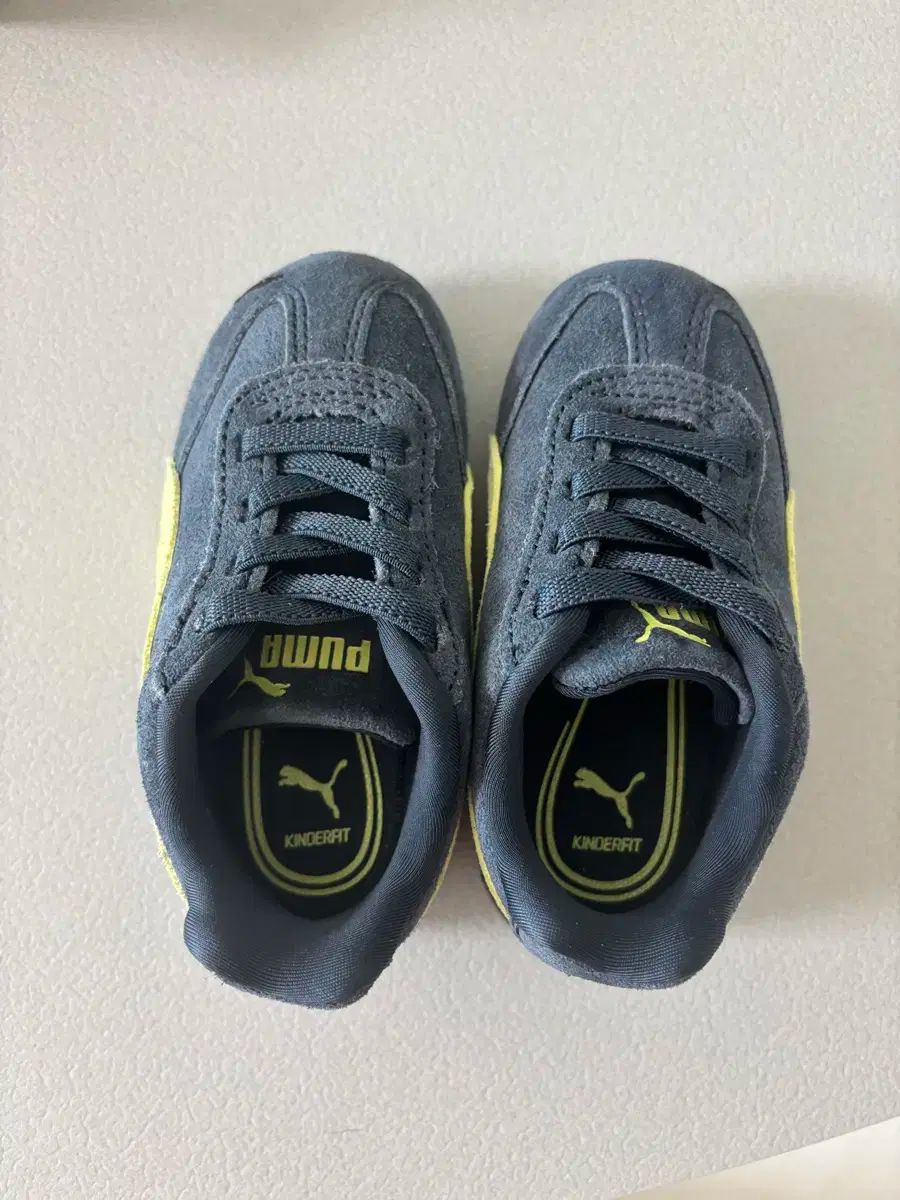 スピードキャット ネイビー