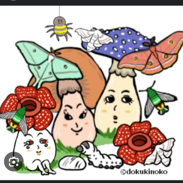 リカさまへ 【公式ショッピングサイト】
