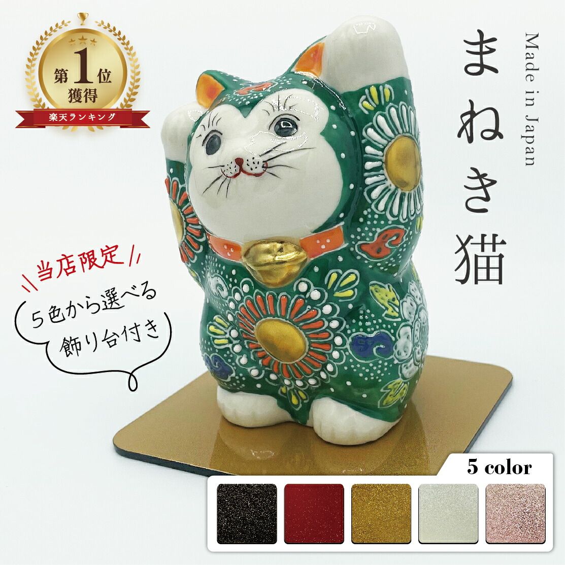 現地球・発根済】センナ メリディオナリス 極上株 コーデックス 大株