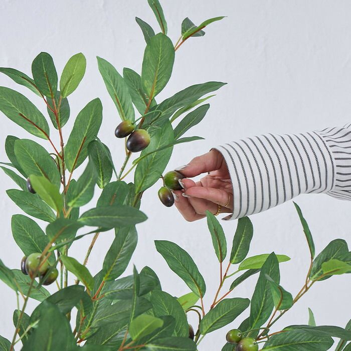 人工観葉植物 オリーブ