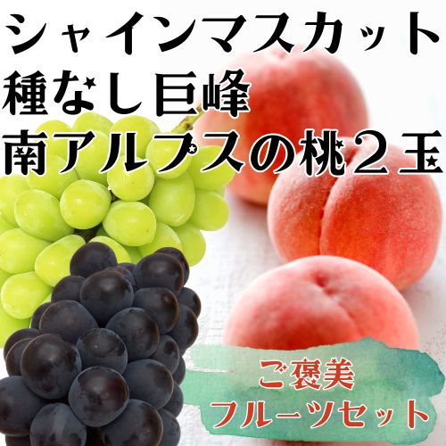 高級フルーツセット 白鳳 桃 2玉 ＆ 熊本県産 巨峰（種なし