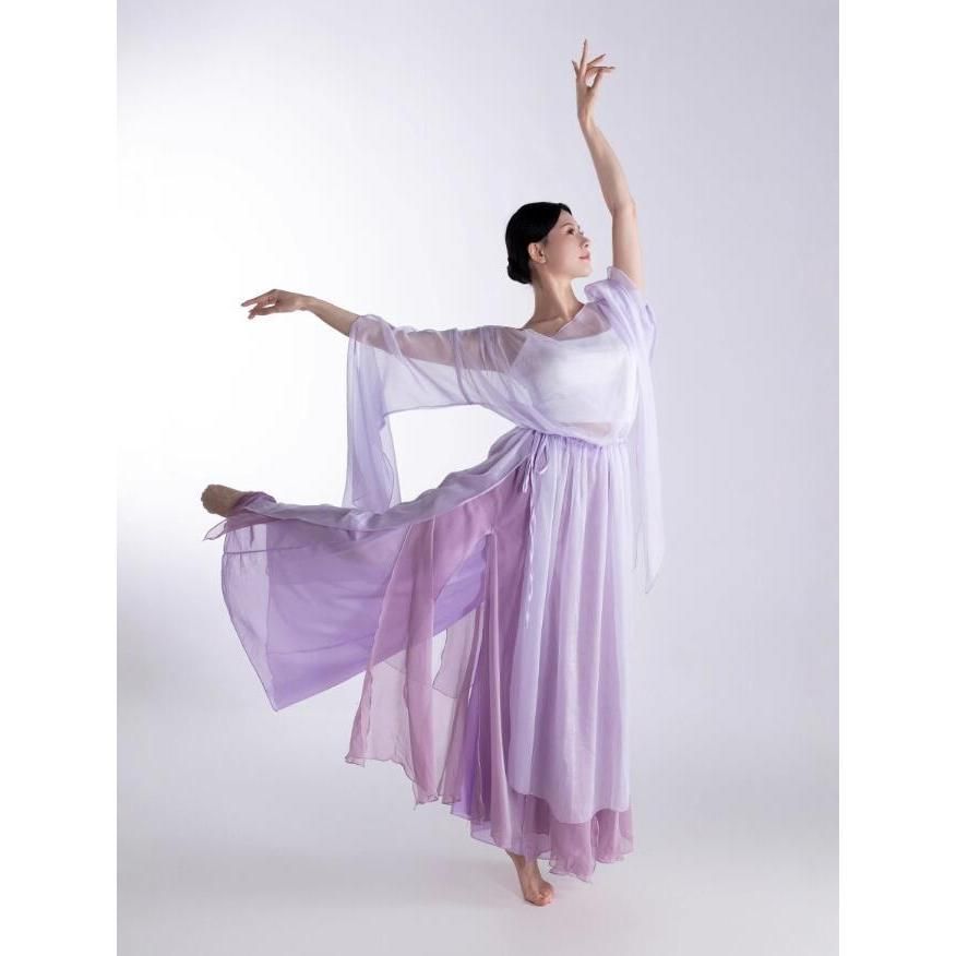 高品質 文化祭 古典ダンス衣装 上下2点セット シースルーブラウス ガウチョパンツ 漢風 演出服 チャイナ服 フ 袖トップス ダンスパンツ ステージ衣装 BJ1003ML03 ハロウィン