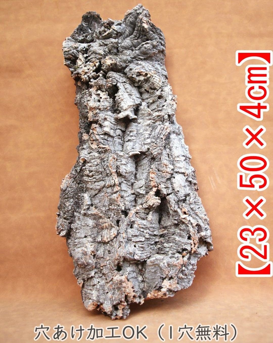 Q775 ポルトガル産 厚め コルク樹皮 コルク板 バージンコルク チランジア ビカクシダ 着生ラン 両生類 爬虫類