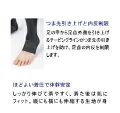 Lスリム|上半身