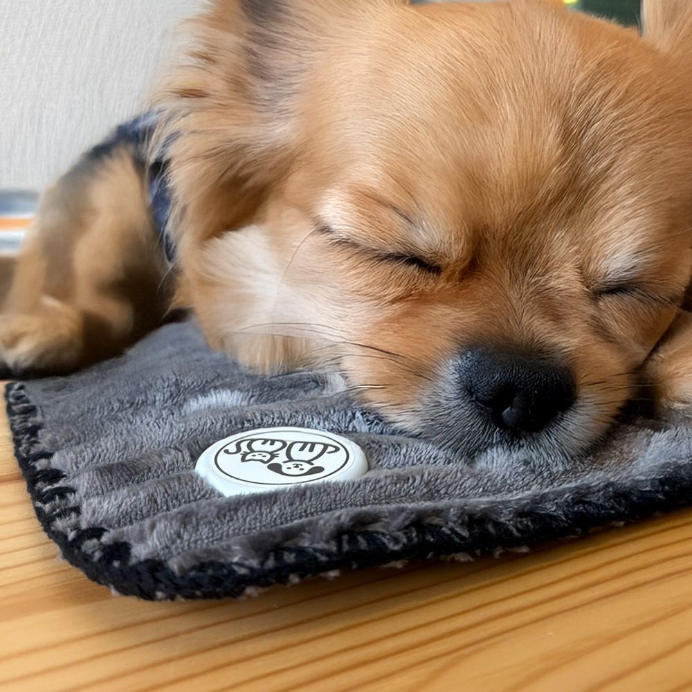 ペット用 グラフェン繊維