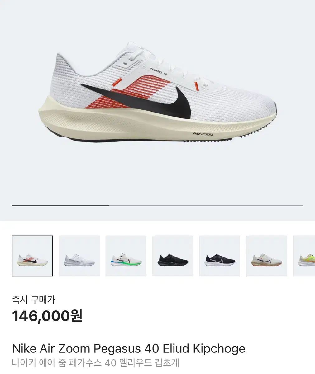 265 NIKE ナイキ ズンペガサス 40 キプチョゲ