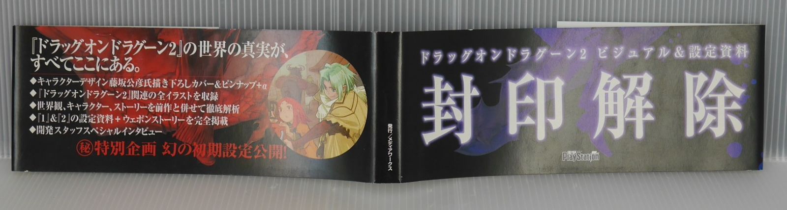 初版 絶版 ドラッグオンドラグーン2 設定資料集 -Memory of blood