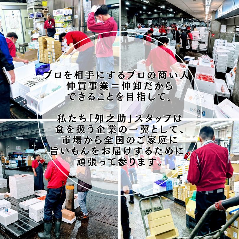 １８本 生食