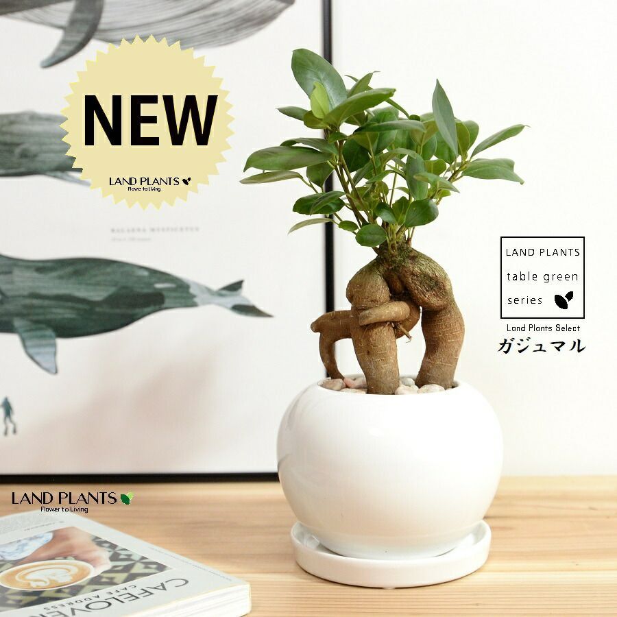 モリシゲ家具/MORISHIGE/オリーブ印/高級/1Pソファ/アームソファ/②