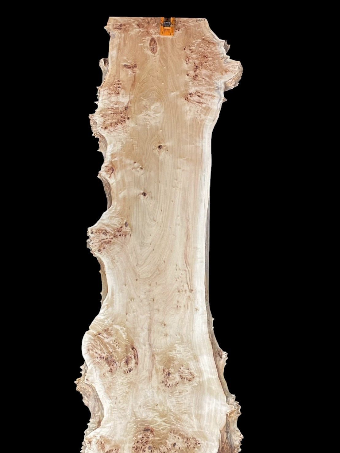 ポプラ M173-1 レジン 瘤 一枚板 乾燥材 長尺 棚板 カウンター テーブル DIY 耳付 天板 座卓 テレビボード