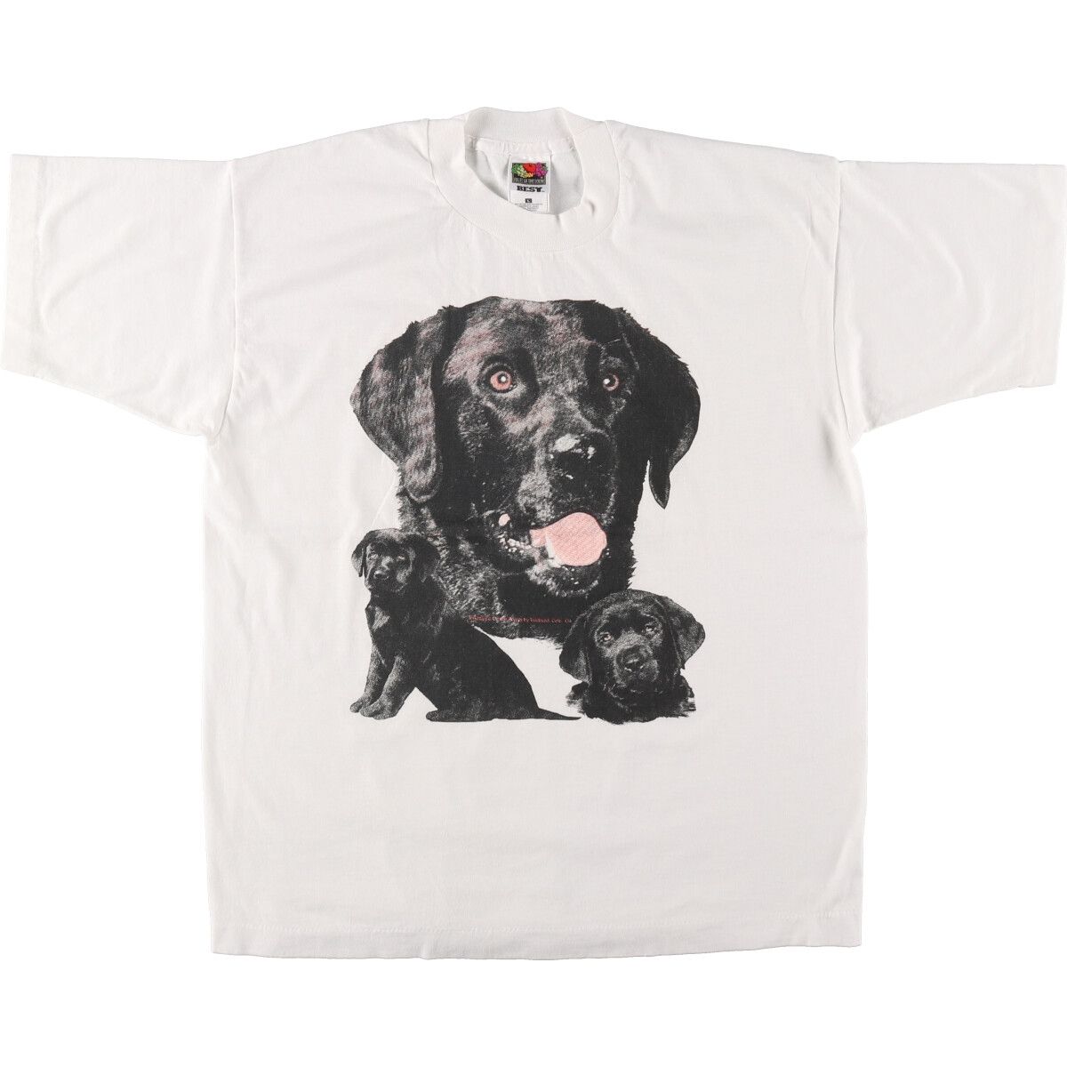 古着 ~00年代 フルーツオブザルーム FRUIT OF THE LOOM 犬柄 アニマルTシャツ メンズL相当/eaa485630