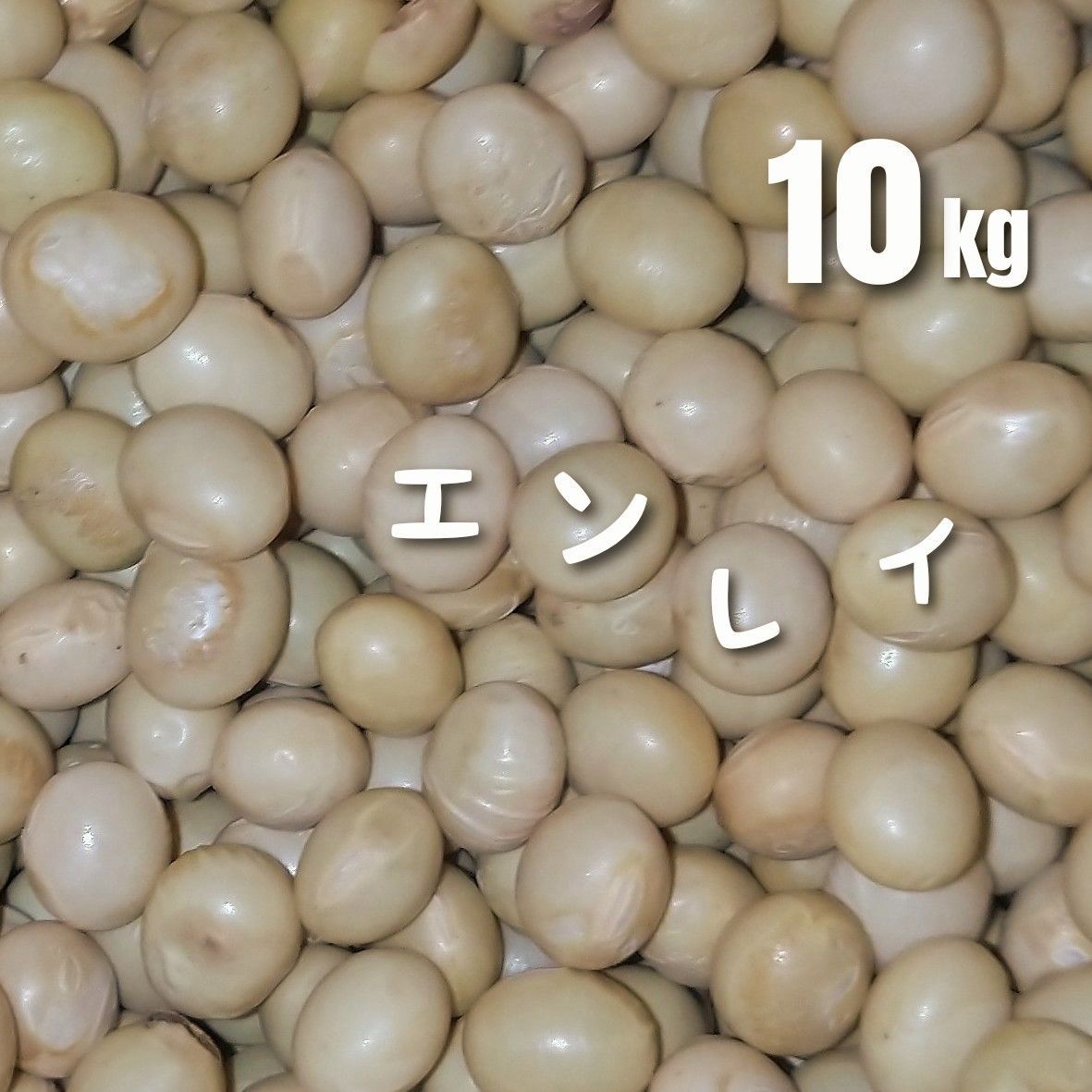 農家直送【新豆】令和7年産 北海道壮瞥町産大豆20㎏ 農家
