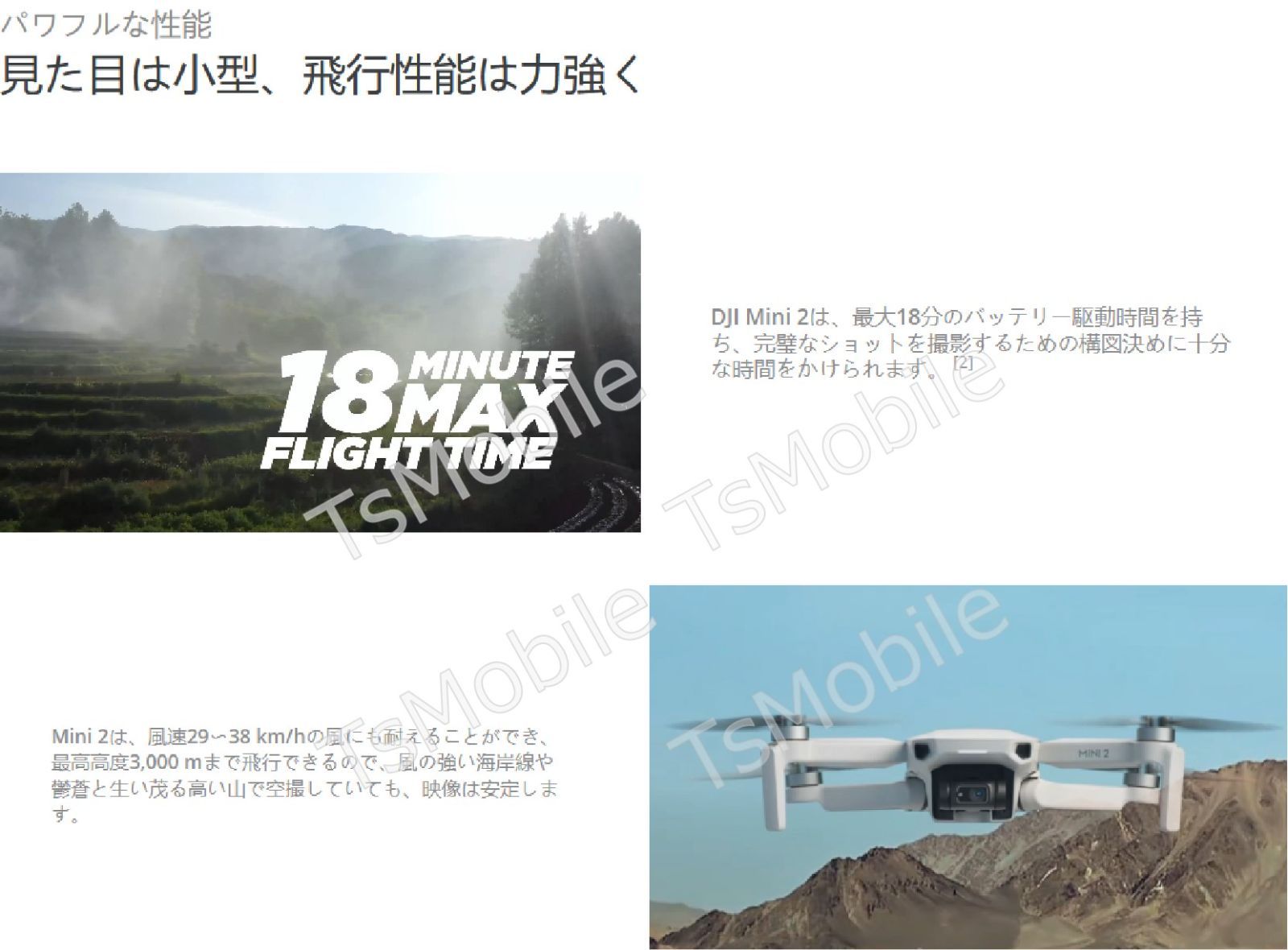 DJI Mavic Mini2 4Kカメラ付き 【賠償責任保険付】 - tsmobile - メルカリ