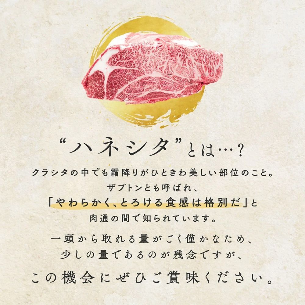 貴重　ナイジェル・マンセル他Ｆ１ドライバー　関連書籍5冊　中古本 オートコース版 貴重 ナイジェル・マンセル他F1ドライバー 関連書籍5冊 中古本