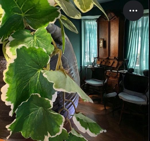 美品 3way 和風フェイクグリーン 和モダン ジャパンディ インテリア 和