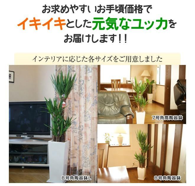 お中元