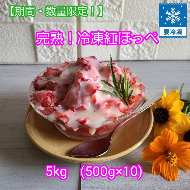 ASTER de VILLATTE スヌーピーカバートップマグカップ ASTER de VILLATTE スヌーピーカバートップマグカップ