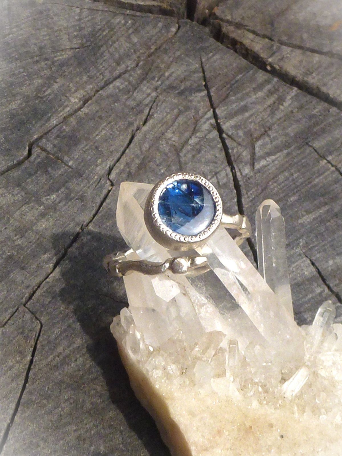 シェーンベルク,ヴェーベルン,ベルク: バリトンのための作品集F