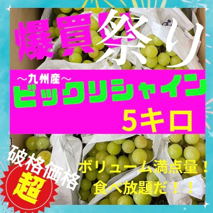 九州産 シャインマスカット 5キロ クール便 - やおねっと 〜御用聞きの