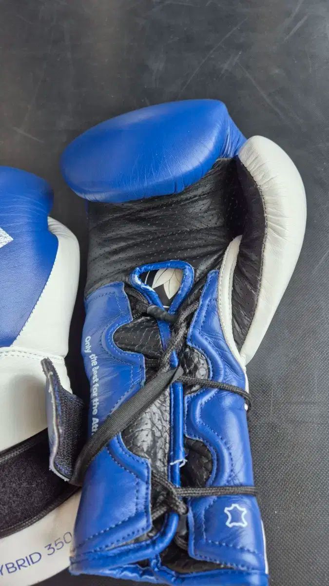 ハイブリッド 350