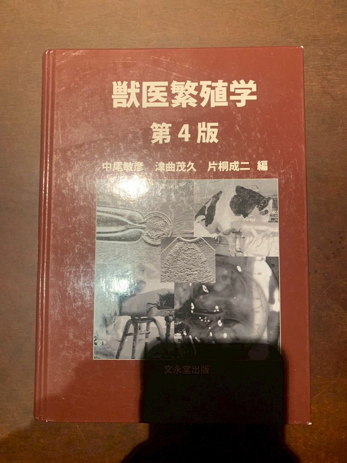 獣医繁殖学 第4版 クリアランス 獣医繁殖学 第4版 文永堂出版