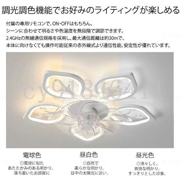 10畳