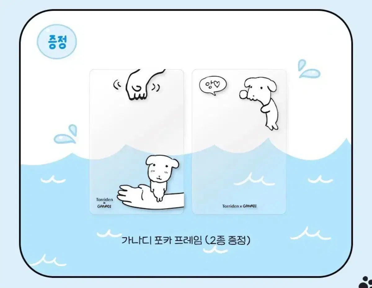 ムバエ)) トリドン ガナディ フォトカード トレカ 出品