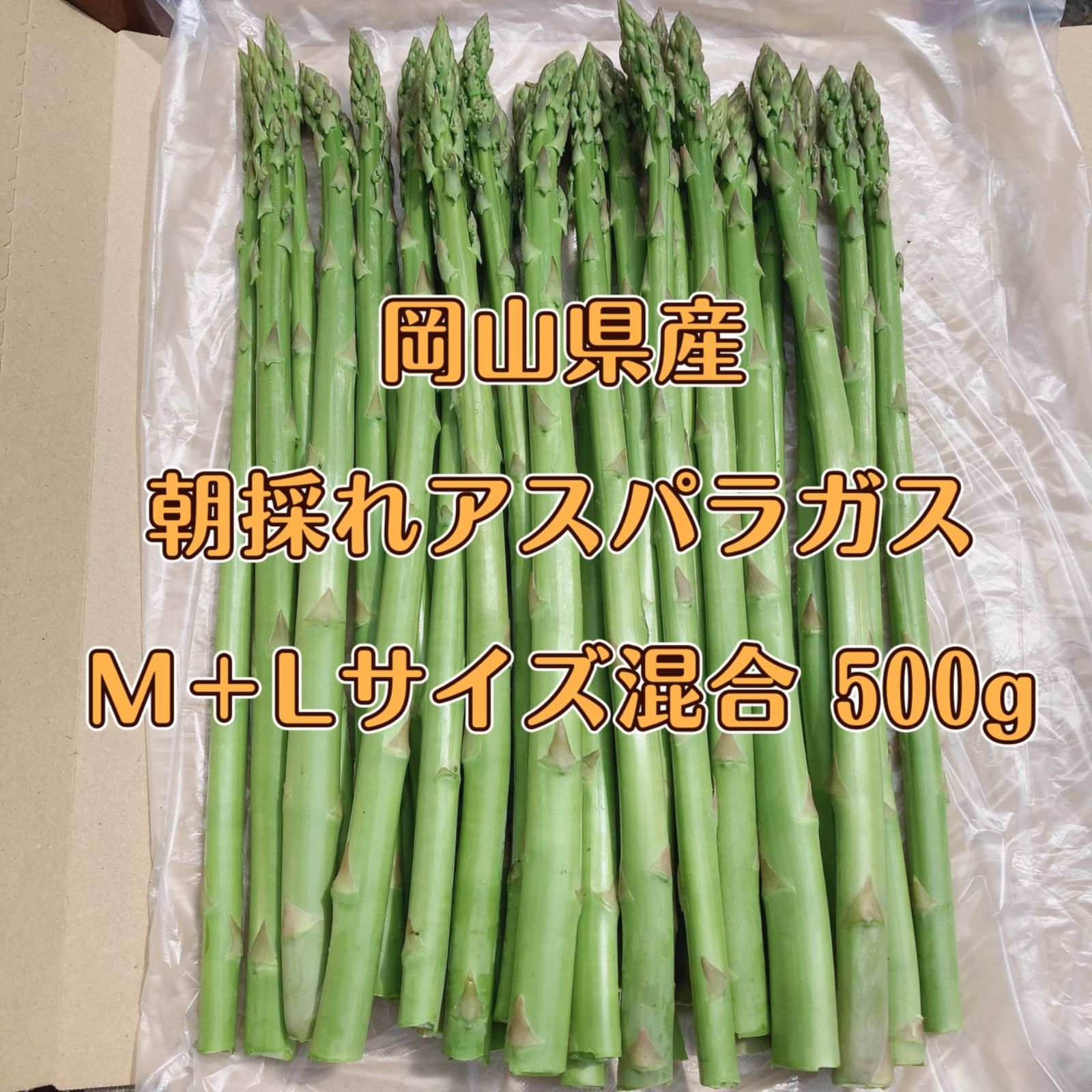 M、L混合 グリーンアスパラガス 500g - 野菜