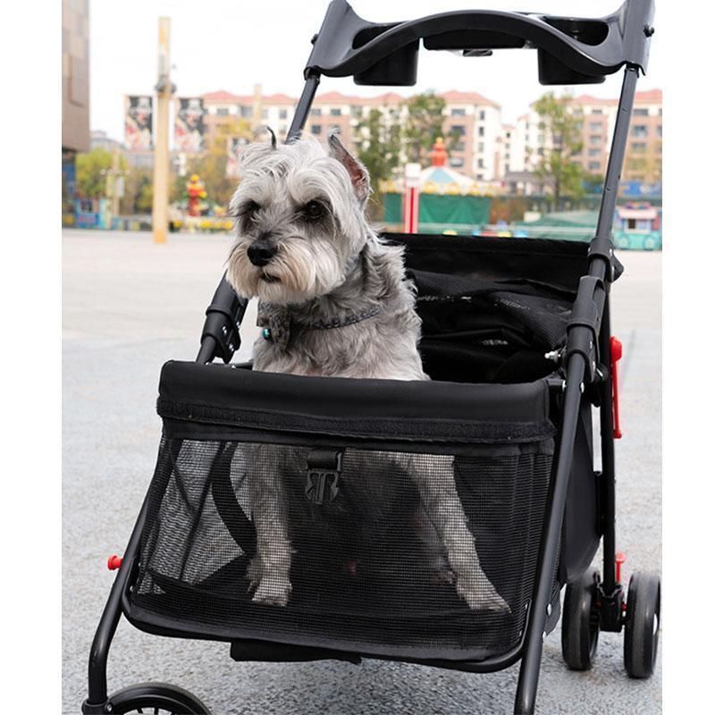 小型犬