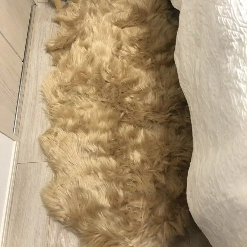 お洒落