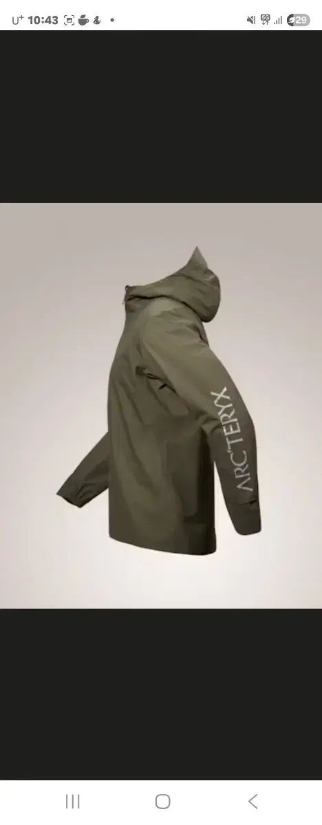 中国美術 色絵 龍紋皿 φ48.8cm(ZE473) 中国美術 色絵 龍紋皿 φ48.8cm