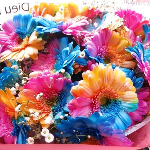 レインボーガーベラ 花束 レインボーガーベラ 25本 花束 サプライズなフラワーギフト レインボーガーベラ