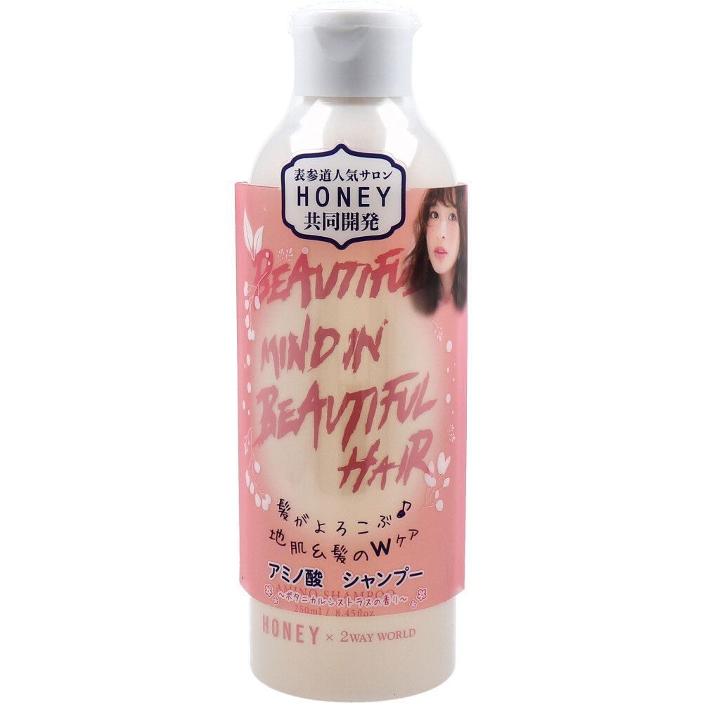 4セット HONEY アミノ酸シャンプー ボタニカルシトラスの香り 250mL