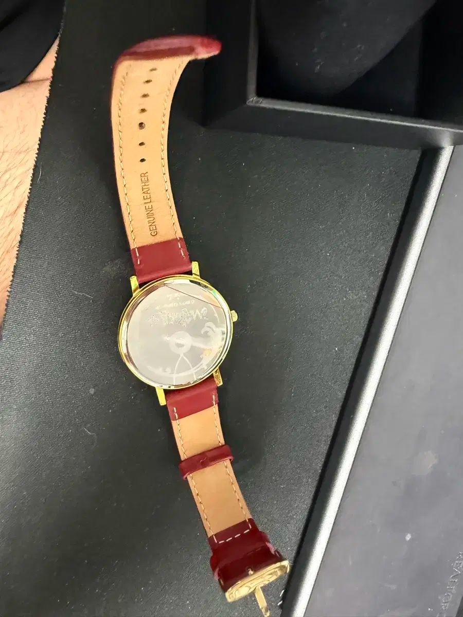 魔法使いの花嫁