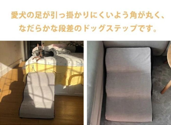 ドッグステップ