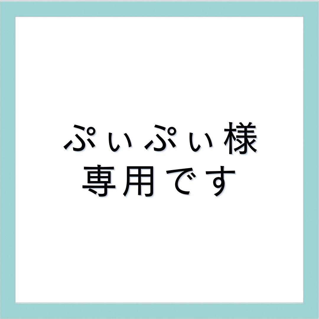 ぷぃぷぃ様専用です - メルカリ