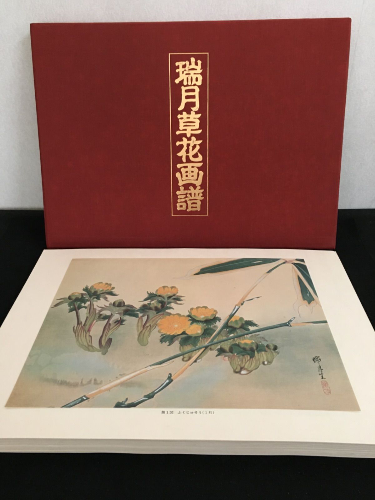 瑞月草花画譜 - メルカリ