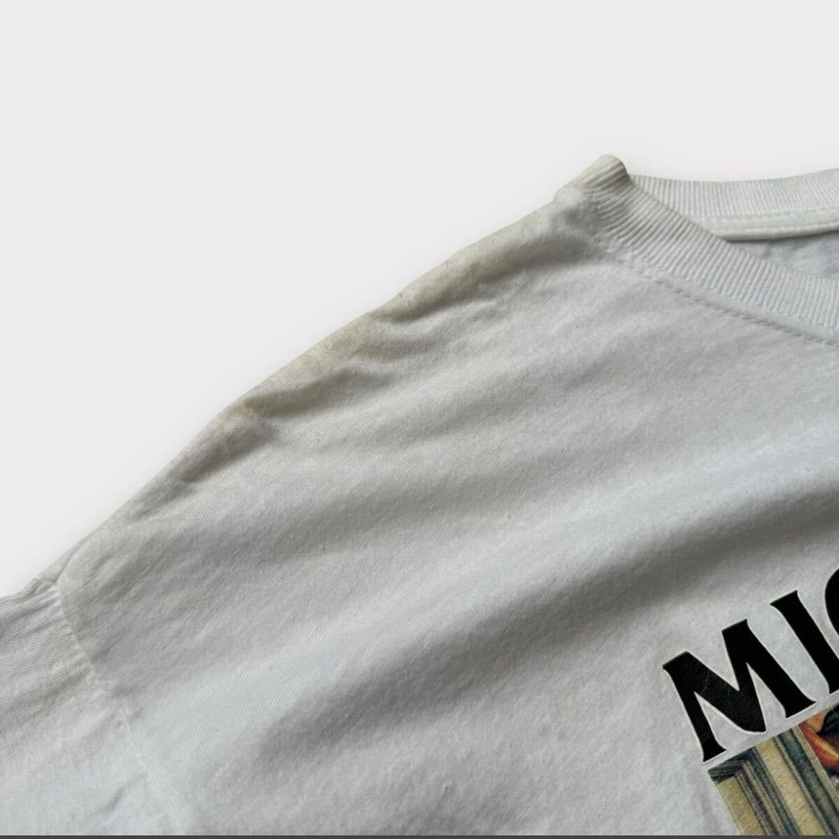 レア 80s MICHELANGELO ミケランジェロ 総柄 ビンテージ Tシャツ L USA製 アート 芸術 古着 / supreme モスキートヘッド