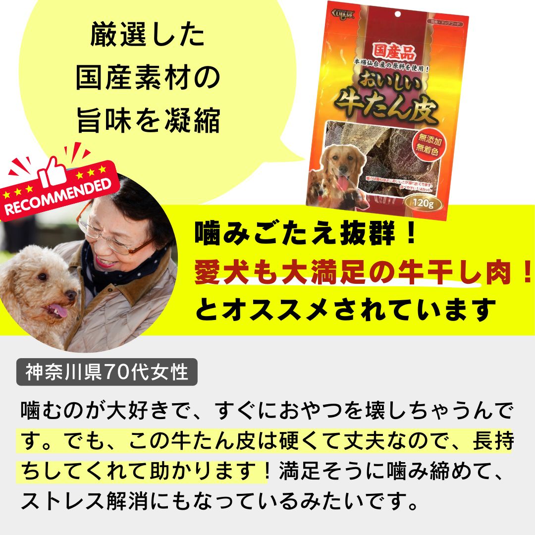犬用おやつ ペットフード