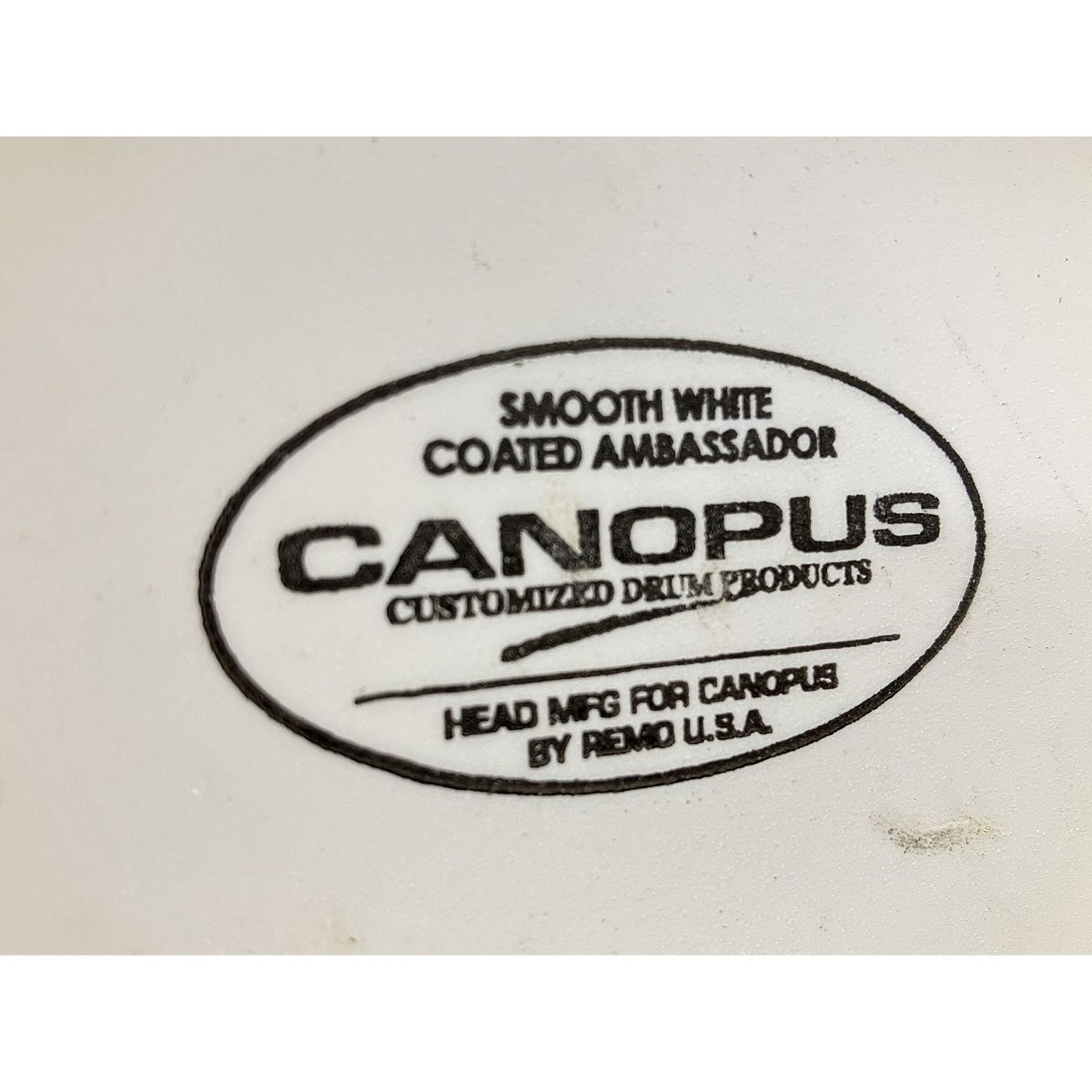 ワンピースメイプルシェル