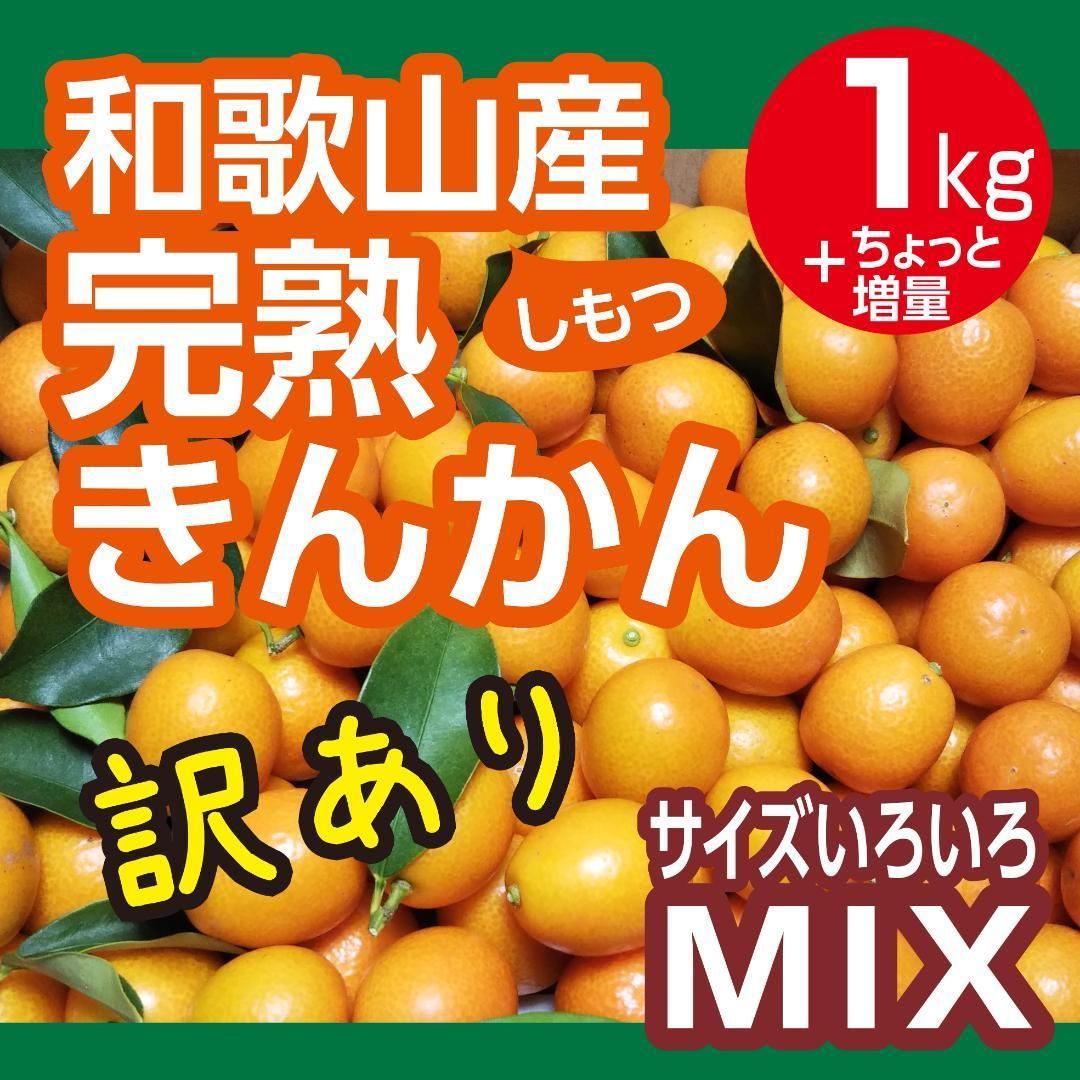 金柑 和歌山県産 1kg きんかん 採れたて ③ - 果物