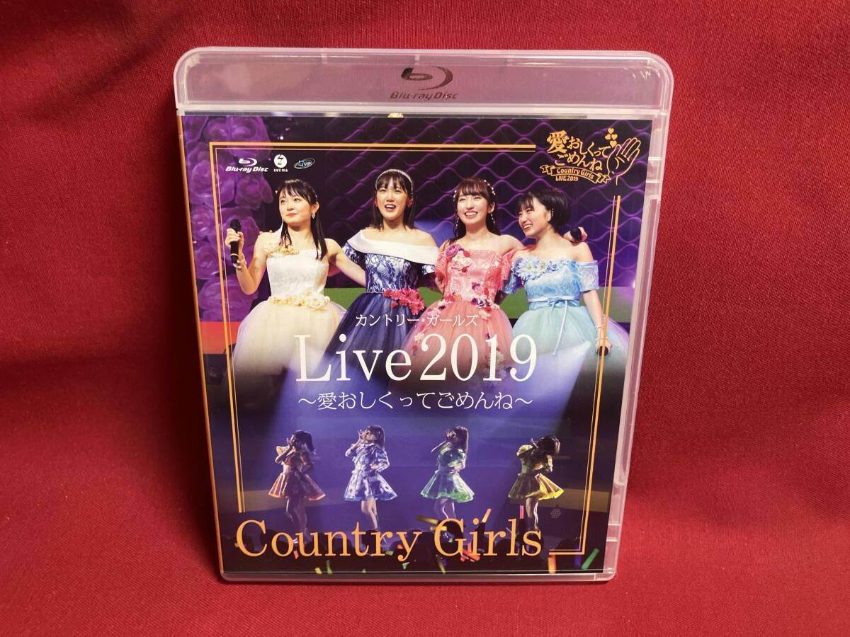 カントリー・ガールズ ライブ ?愛おしくってごめんね?(Blu-ray)(特典なし) Amazon.co.jp: 愛おしくってごめんね/恋泥棒(初回生産限定盤A